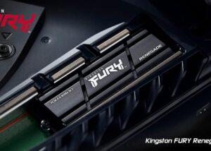 Kingston Fury Renegade 1TB PCIe Gen 4.0 NVMe M.2 Internal Gaming SSD with Heat Sink | PS5 Ready | Up to 7300MB/s | SFYRSK/1000G Heat-Sink from Expert Zone