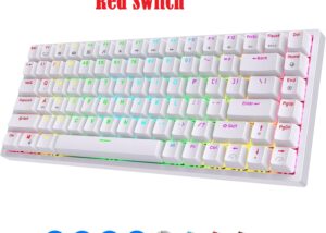 RK ROYAL KLUDGE RK84 RGB 75% Triple Connectivity Mode BT5.0/2.4G/USB-C Hot Swappable Mechanical Keyboard, 84 Keys BT5.0 Gaming Keyboard , Quiet Red Switch - English/Arabic