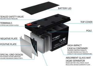 NCTS1270 12v 7ah Sealed Lead Acid Rechargeable Battery  NCTS 12-7Ah (F1, 2 Pcs) 12V 7Ah Sealed Lead Acid Rechargeable Battery with F1 Terminal, for Small UPS, Solar Power, IOT, Kids Car, and Outdoor Camper - NCTS1270