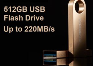 DTSE9G3/512GB DataTraveler SE9 G3 512GB USB Flash Drive Kingston DataTraveler SE9 G3 512GB USB Flash Drive | USB 3.2 Gen 1 Speed | Up to 220MB/s | Premium Metal Casing | GOLD DTSE9G3/512GB