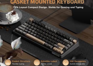 RKR75-PHANTOM-BROWN RKR75 Wired Gaming Keyboard Brown Switch PBT RK ROYAL KLUDGE RKR75 Wired Gaming Keyboard with Volume Knob, 75% Mechanical Gaming Keyboard Custom Gasket Mount with MDA Profile PBT Keycaps, QMK/VIA, Hot Swappable Brown Switch | PHANTOM