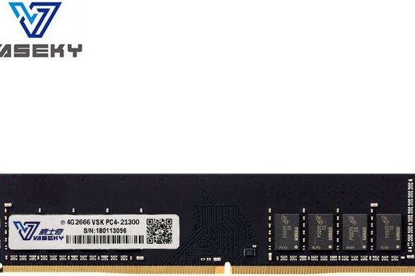 Vaseky Desktop Ram Memory 4GB Ram DDR4 2666MHz