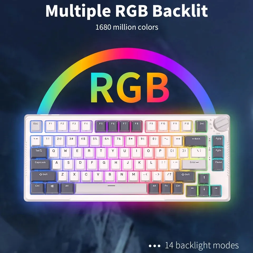 RK ROYAL KLUDGE H81 RGB Wireless Gaming Mechanical Keyboard BLUE Switch, Triple Mode Connectivity 2.4Ghz/BT5.1/USB-C ;  Control Knob , Gasket Mounted ; 75% Layout Hot Swappable 81 Keys - WHITE NIGHT RGB Wireless Mechanical Keyboard BLUE Switch