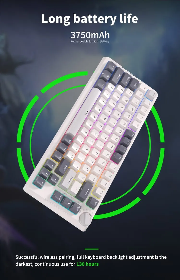 RK ROYAL KLUDGE H81 RGB Wireless Gaming Mechanical Keyboard BLUE Switch, Triple Mode Connectivity 2.4Ghz/BT5.1/USB-C ;  Control Knob , Gasket Mounted ; 75% Layout Hot Swappable 81 Keys - WHITE NIGHT RGB Wireless Mechanical Keyboard BLUE Switch