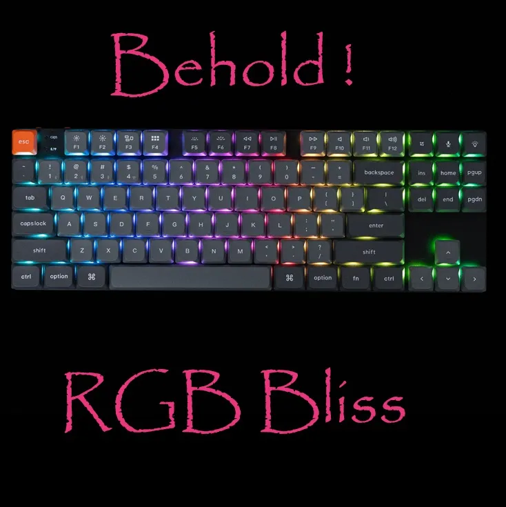 Keychron K1 Max TKL Keyboard Red Switch (3) K1M-H1 Keychron K1 Max TKL Keyboard Red Switch Keychron K1 Max Ultra-Slim QMK/VIA Bluetooth Wireless/USB Wired Custom Mechanical Keyboard, 2.4 GHz Hot Swappable TKL Layout RGB Backlight Gaming Keyboard with Low-Profile Gateron Red Switch | Graphite K1M-H1