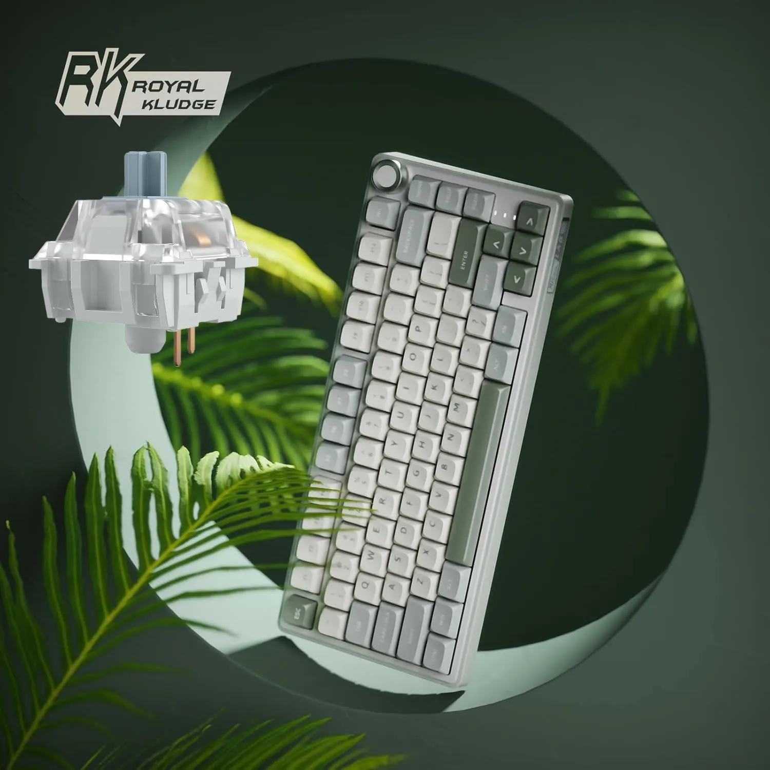 R75 TKL Mechanical Keyboard Silver Switch (9) RKR75-SKYCYAN-SLIVER R75 TKL Mechanical Keyboard Silver Switch RK ROYAL KLUDGE R75 Mechanical Keyboard Wired with Volumn Knob 75% TKL Custom Gaming Keyboard Gasket Mount RGB Backlit with Software MDA Profile Hot Swappable  Silver Switch Pro PBT Keycaps | SKY CYAN