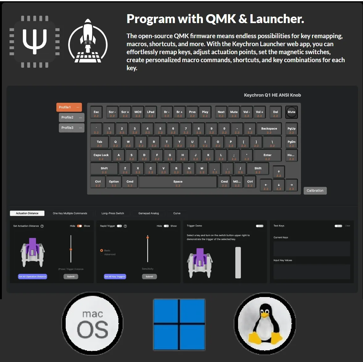 Q1H-M1 Keyboard Double-rail Magnetic Nebula Switches Keychron Q1 HE QMK Wireless Custom 75% Layout Metal RGB Keyboard with Hall Effect Gateron Double-rail Magnetic Nebula Switches ; 1000 Hz 2.4 GHz Mode or Bluetooth 5.1 for up to 3 Device Connectivity , 0.2 mm to 3.8 mm Adjustable Actuation Points ; Dynamic Rapid Trigger ; Four Actions Per Key ; OSA Profile PBT Keycaps ; Windows and macOS | CARBON BLACK Q1H-M1