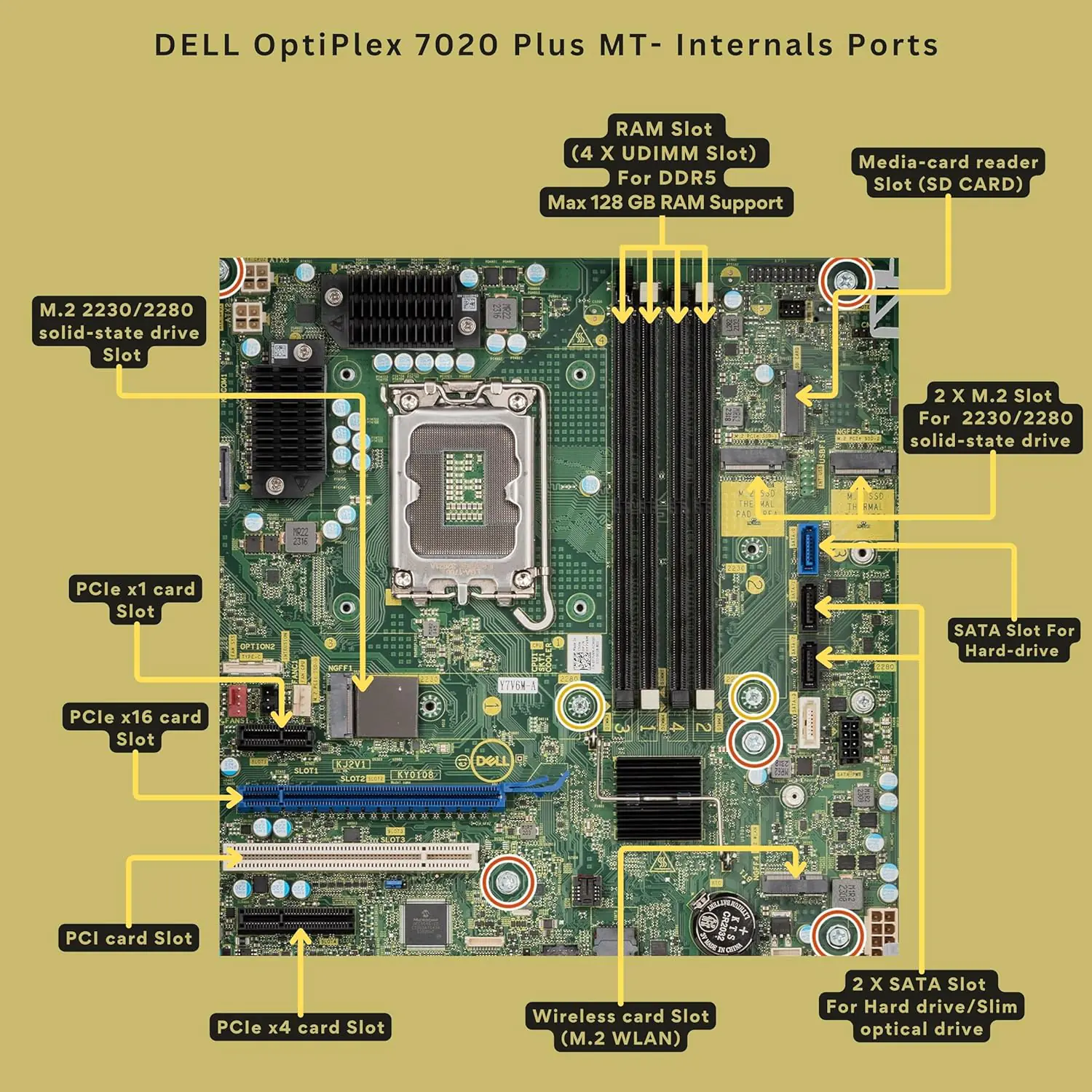 DELL-D31M001 DELL D31M001 I7-14700 DDR5 16GB 512GB WIFI BLUTHOOTH DVD WRITER KEY-MOUSE DELL OptiPlex 7020 Plus Desktop Combo Intel® Core™ i7-14700 | 16GB RAM ; 512GB SSD | Intel® Graphics | USB Wired Keyboard & Mouse Incl. ; Wi-Fi & Bluetooth ; DVD±RW | Ubuntu OS | BLACK D31M001