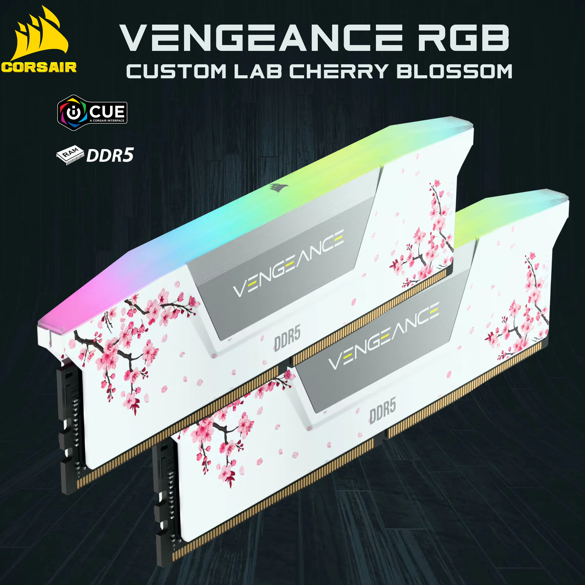 Vengeance RGBÂ Custom Lab Cherry Blossom CMH32GX5M2B6000Z30WC RAM CORSAIR VENGEANCE RGB 32GB (16X2) CL30 WHITE FLOWERS Vengeance RGBÂ Custom Lab Cherry Blossom DDR5 RAM 32GB Kit (2x16GB) 6000MHz CL30 1.40V (PC5 48000) 288-Pin AMD EXPO / Intel XMP 3.0 Compatible Computer Memory | WHITE CMH32GX5M2B6000Z30WCB