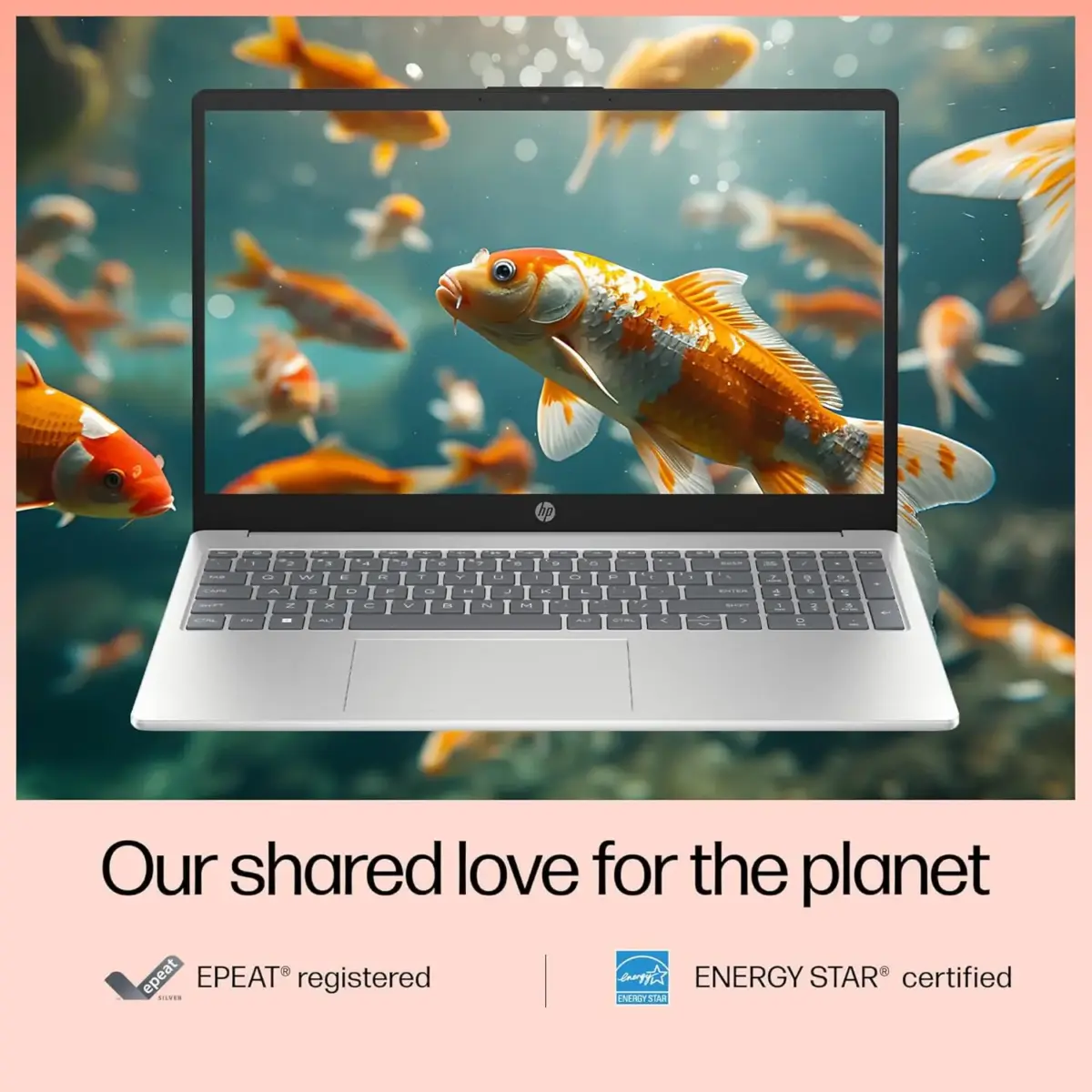 B8LA9UA#ABA HP 15-FD0150WM CORE 5-120U 8GB/512GB SSD/WIN11/15.6"/TOUCH SCREEN HP 15-fd0150wm Intel Core 5 120U | 8GB DDR4 RAM ; 512GB NVMe SSD | Integrated Graphics | 15.6inch FHD IPS TouchScreen | Windows 11 | Meteor Silver 