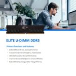 TED532G5600C46BK RAM TEAM GROUP ELITE DDR5 32GB 5600MHZ desktop TeamGroup Elite DDR5 32GB (1x32GB) 5600MHz U-DIMM Desktop Memory – On-Die ECC Stability, 1.1V Power Efficiency, Intel 600/700 Compatible, CL46 Performance Module | TED532G5600C46BK