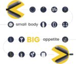 UGREEN-LP128-70577 UGREEN BAG ORGANISER GREY UGREEN Headphone Organizer Mini Shockproof Carrying Case - Travel Pouch For AirPods, Bose, Beats, Sony, Wireless Earbuds, USB Cable, Flash Drive, Charger, Adapter, SD Card ; 84×82×44mm ; 100g | LP128-70577