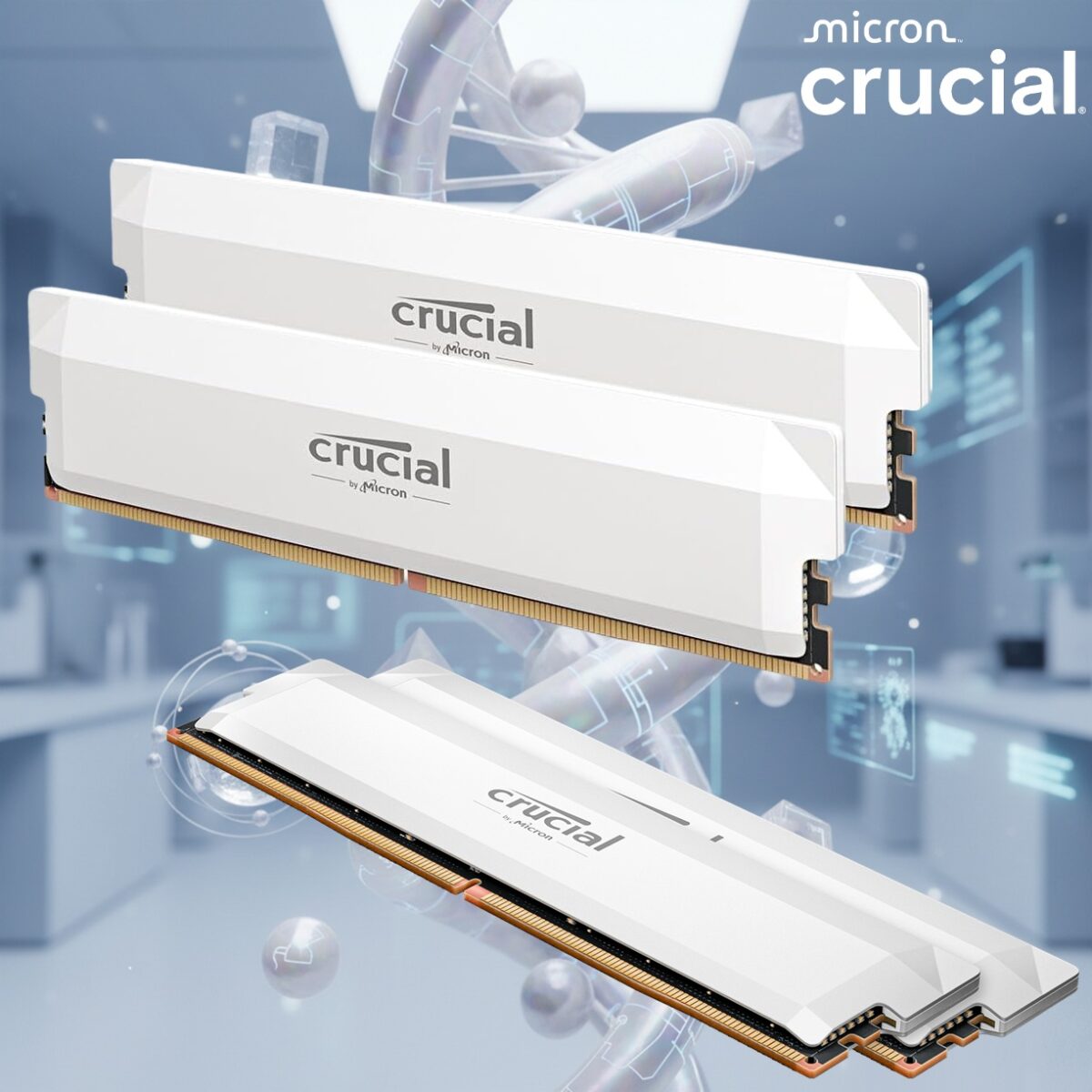 CP2K16G60C36U5W RAM CRUCIAL PRO 32GB (16X2) 6000MHZ CL 36 WHITE DESKTOP Crucial Pro DDR5 32GB RAM Kit (2×16GB) 6000MT/s CL36 1.35V Overclocking Gaming Memory Modules with Intel XMP 3.0 & AMD EXPO, Low-Latency DDR5 OC Memory | WHITE ~ CP2K16G60C36U5W