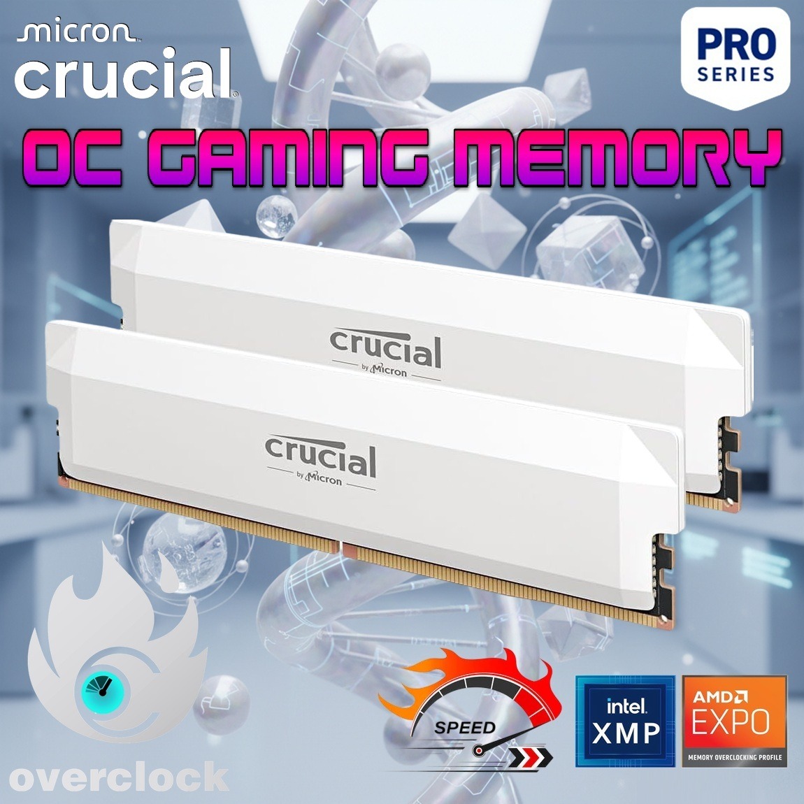 CP2K16G60C36U5W RAM CRUCIAL PRO 32GB (16X2) 6000MHZ CL 36 WHITE DESKTOP Crucial Pro DDR5 32GB RAM Kit (2×16GB) 6000MT/s CL36 1.35V Overclocking Gaming Memory Modules with Intel XMP 3.0 & AMD EXPO, Low-Latency DDR5 OC Memory | WHITE ~ CP2K16G60C36U5W