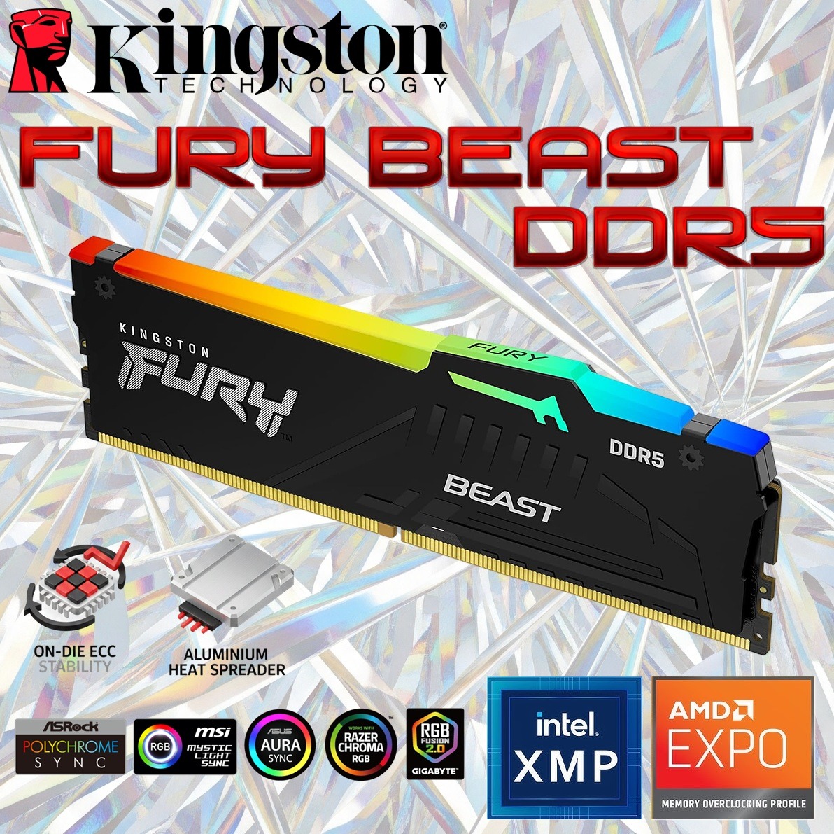 Kingston Fury Beast RGB 16GB DDR5 RGB Desktop Memory Single Module , 6400MT/s Speed, CL32 1.4V DIMM , Intel XMP 3.0 and AMD EXPO, Aluminum Heat Spreader | Black ~ KF564C32BBEA-16