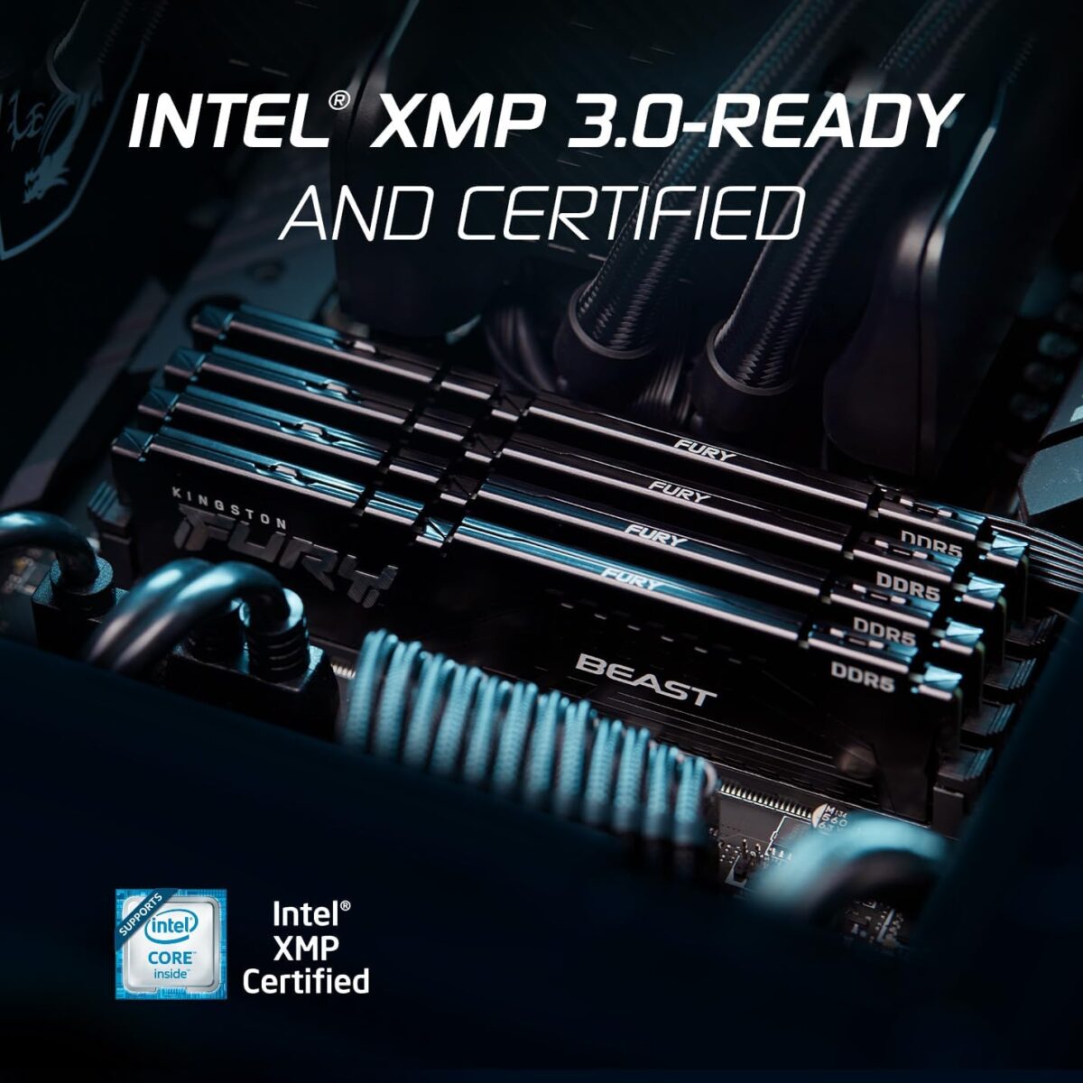 Kingston Fury Beast 16GB DDR5 6000MT/s Desktop Memory With CL30 Timing 1.40V , AMD EXPO And Intel XMP 3.0 Support, On-Die ECC, Black Aluminum Heat Spreader | BLACK ~ KF560C30BBE-16