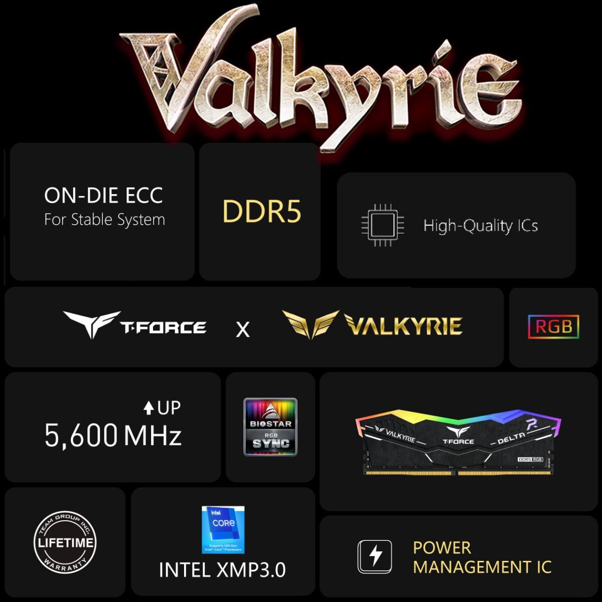 Expert Features T-FORCE x VALKYRIE Crossover Design : A special-edition DDR5 gaming memory created through the collaboration between T-FORCE and BIOSTAR, blending performance with VALKYRIE-inspired visuals. 32GB Dual-Channel DDR5 Desktop Kit : Includes two matched 16GB modules designed for stable dual-channel operation on desktop motherboards. DDR5-5600 Performance Bandwidth : Operates at 5600MHz (PC5-44800) to deliver high memory throughput for gaming and multitasking. CL40 Timing Configuration : Tuned to CL40 latency for balanced DDR5 performance and system compatibility. Intel XMP 3.0 Profile Support : Enables one-click overclocking using Intel XMP 3.0 for easy performance setup on supported platforms. Optimized For Intel 600 Series Chipsets : Validated for use with Intel 600 series platforms to ensure reliable compatibility. 120° Ultra-Wide RGB Lighting : Features a wide-angle RGB lighting zone designed to enhance system aesthetics and visibility. Stealth Fighter-Inspired Heatsink Design : Visual styling inspired by stealth aircraft, integrating VALKYRIE elements for a bold gaming look. Aluminum Heat-Sink Construction : Equipped with an aluminum heatsink to help dissipate heat during high-performance operation. Strengthened PMIC Cooling Design : Reinforced PMIC cooling with thermally conductive silicon improves power delivery stability. Smart RGB Controller Integration : Built-in RGB controller supports BIOSTAR’s Advanced VIVID LED DJ for synchronized lighting effects. High-Quality IC Selection : Uses carefully selected IC dies that have undergone extensive compatibility and reliability testing.